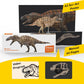 Pnso Prehistoric Dinosaur Models: (61Fergus The Acrocanthosaurus)