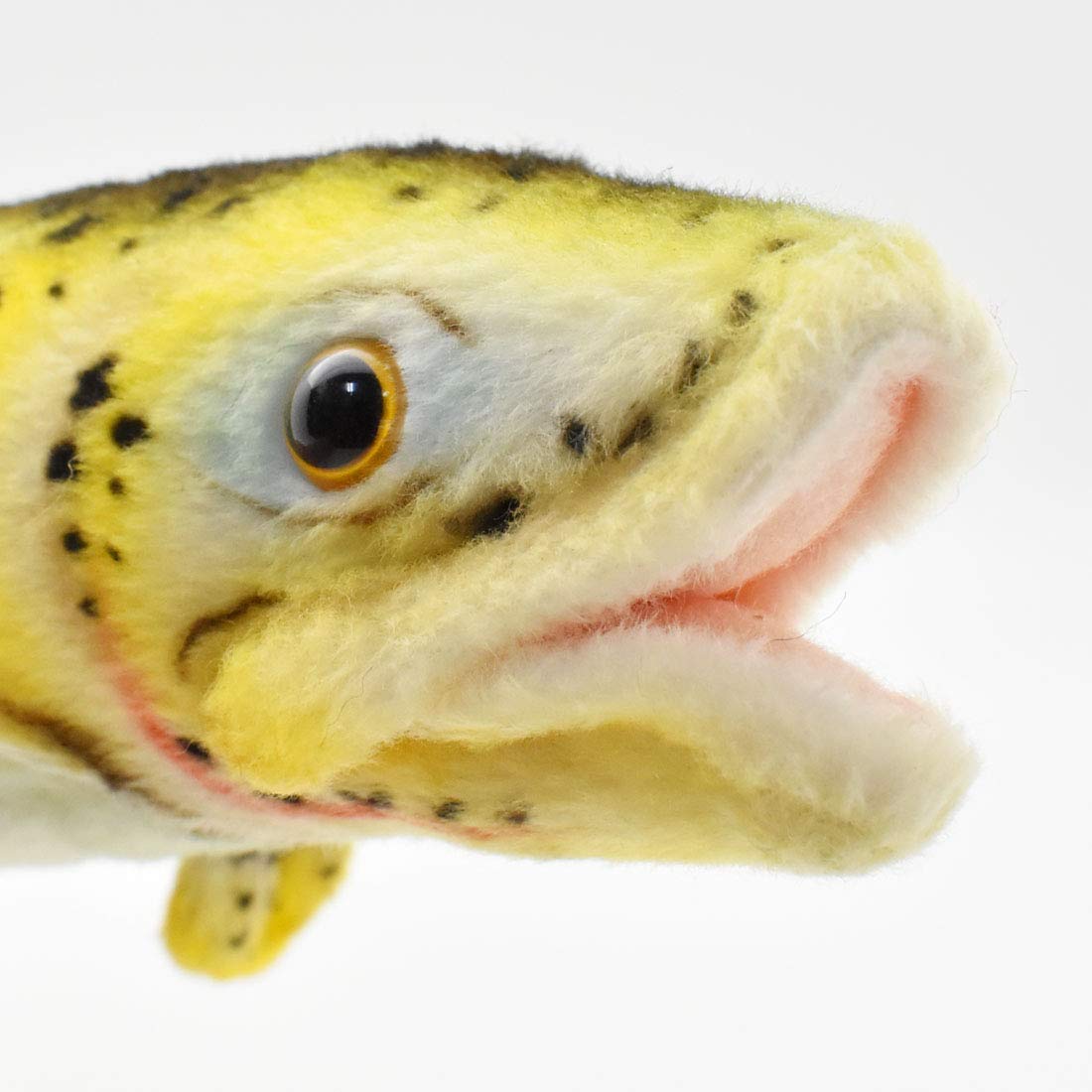 Ha Trout Fish 14' By Hansa