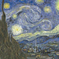 Starry Night - 2000 Pieces