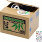 Panda Piggy Bank,Panda Bank Stealing Coin,Panda Coin Bank, Little Panda Bamboo Bank, Automatic Money Saving Piggy Bank For Boys, Girls, Great Gift For Children(Panda Version)