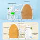 Elnmlht Ant Farm Castle, Sand Ant Colony Observation Kit, Ant Viewing Habitat Science Kit, Educational & Learning Science Kit Fo