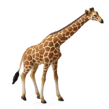 Collecta Wildlife Reticulated Giraffe Toy Figure - Authentic Hand Painted Model