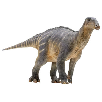 PNSO Dinosaur Museums Series (Harvey The Iguanodon 1:35 Scientific Art Model)