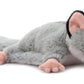 The Petting Zoo Sugar Glider Stuffed Animal Plushie, Gifts For Kids, Wild Onez Wildlife Animals, Sugar Glider Plush Toy 9 Inches