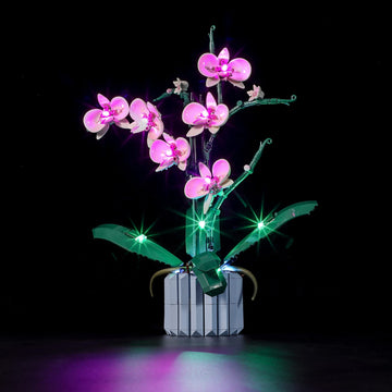 Briksmax Led Lighting Kit For Lego-10311 Orchid - Compatible With Lego Creator Expert Building Blocks Model- Not Include The Lego Set