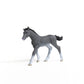 Schleich Horse Club, Realistic Horse Toys For Girls And Boys, Baby Trakehner Foal Toy Figurine, Ages 5+