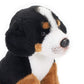 Demdaco Bernese Mountain Dog Children'S Plush Beanbag Stuffed Animal Toy