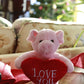 Plushland Stuffed Animal With Red Heart - Love You- Plush Animals Toy For Kids & Adults - Embroidered Heart Pillow -8 Inches (Pi