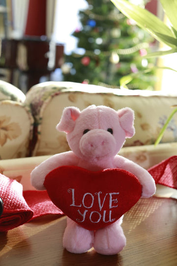 Plushland Stuffed Animal With Red Heart - Love You- Plush Animals Toy For Kids & Adults - Embroidered Heart Pillow -8 Inches (Pi