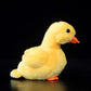 Zhongxin Made Yellow Little Duck Plush, 5.5Inch Simulation Duck Stuffed Animal, Little Baby Duck Doll Plush Toys As Gift For Your Kids