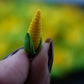 20 Vegetable Corn Dollhouse Miniatures Food Kitchen no.2