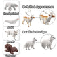 Batoho 18Pcs Arctic Animal Figures Set, Realistic Polar Animal Figurines Set Plastic Arctic Animal Habitat Diorama Decorations Kids Birthday Cake Toppers Toys Set