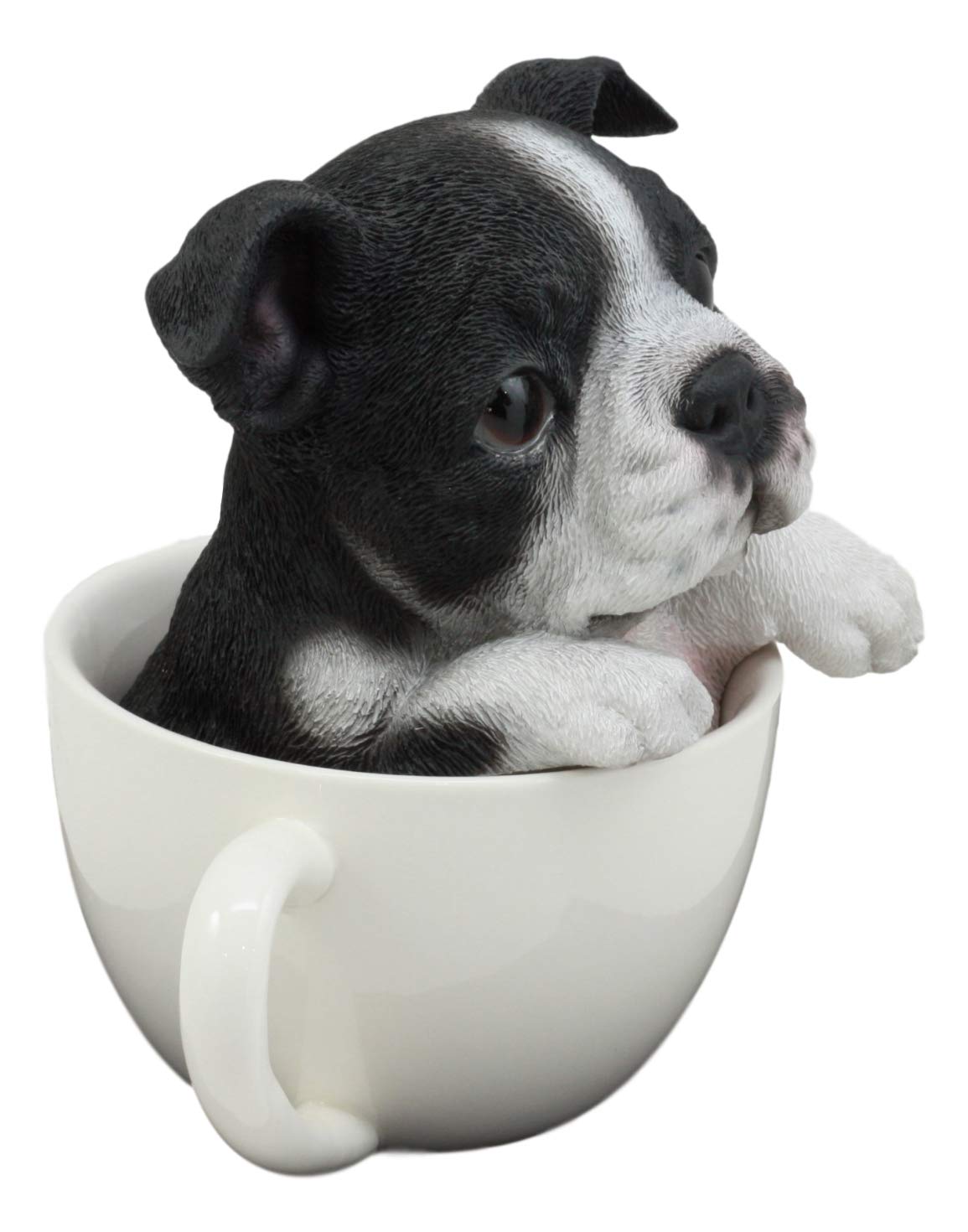 Ebros Gift Realistic Boston Terrier Teacup Pup In White Tea Cup Statue 5.75'' Tall Pet Pal Tuxedo Gentleman Puppy Dog Breed Coll