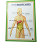 Human Digestive System Working Project  Biology Science Model For School & College Students | Human Anatomy Stem Educational Le