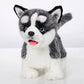 Cu-Mate Walking Husky Stuffed Dog, Electronic Toy, Realistic Interactive Puppy Pet Dog, Walking, Barking,Wagging Tail & Talking,