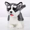 Cu-Mate Walking Husky Stuffed Dog, Electronic Toy, Realistic Interactive Puppy Pet Dog, Walking, Barking,Wagging Tail & Talking,