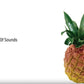 Nino Percussion Nino595 Fruit Shaker - Pineapple
