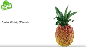 Nino Percussion Nino595 Fruit Shaker - Pineapple