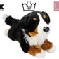Carl Dick Bernese Mountain Dog 12 Inches, 30Cm, Plush Toy, Soft Toy, Stuffed Animal 1269001