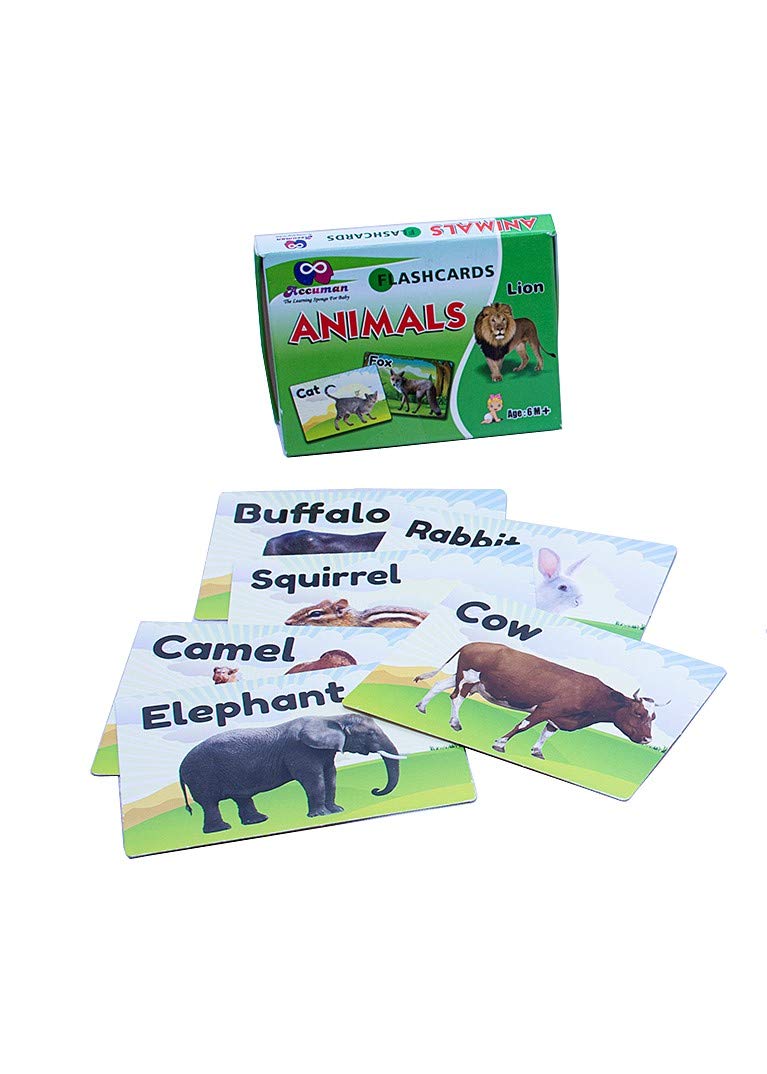 Negi Animal Flashcards For Kids