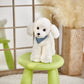 Athoinsu Realistic White Poodle Puppy Stuffed Animal Soft Adorable Hugging Puppy Dog Plush Toy Children'S Day Holiday Birthday For Toddler Kids, 12'