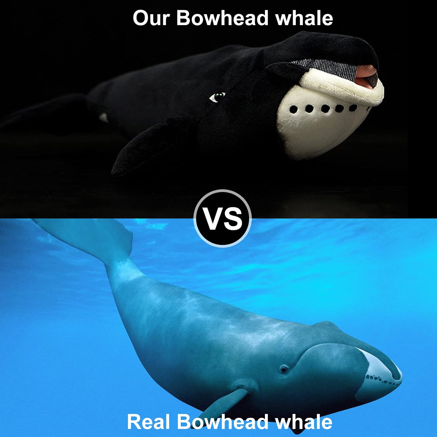 Simulation Bowhead Whale Plush Toy - Black Long Lifelike Whale Stuffed Toys, Super Soft Realistic Sea Simulation Balaena Mysticetus Dolls Plush Gift Collection For Kids, 17Inches (Bowhead Whale)