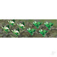 JTT Scenery Products Gardening Plants Broccoli and Cauliflowers O Scale Hobby Train Sceneries