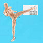 Gnallang Action Figures Pvc Model (Yellow Color) With Box Drawing Figure Models For Artists(Male)