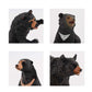 Realistic Wild Life Jungle Animal Figures Model Black Bear Family Playset Eduactional Toys Playset Figurine Statue Classroom Desktop Decoration For Kids Toddler Party Supplies(5 Pcs)