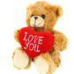 Plushland Stuffed Mocha Heart Bear – Love You- Plush Bear Toy For Kids & Adults - Embroidered Heart Pillow - Brown-6 Inches