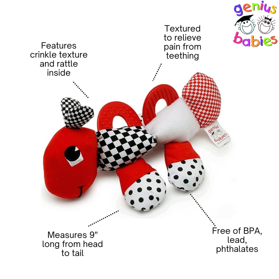Genius Baby Toys 9' Caterpillar Teether, Teething Toy For Babies And Infants