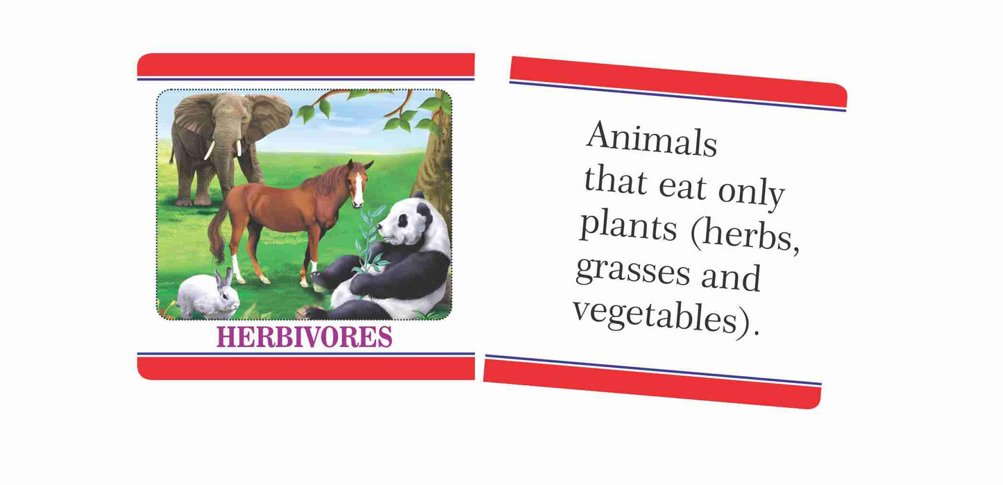 CreativeS Science Knowledge Booster - Animals | Knowledge About The Amazing Animal World | Match Picture Game |Science | Scienc