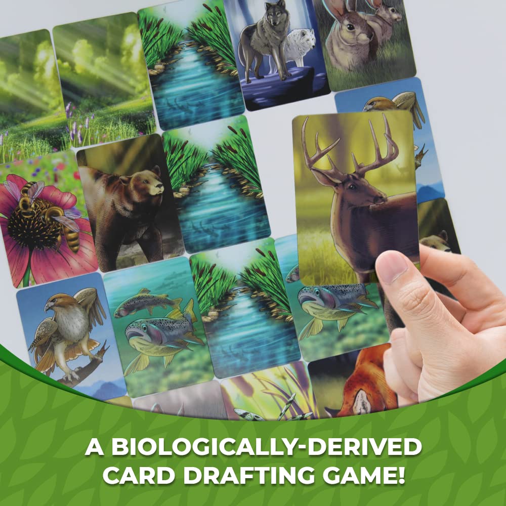 Ecosystem - A Family Card Game About Building Habitats | Learn About Animals, Ecology & Biodiversity For Kids, Adults, Families Or The Classroom! Fun Board Games For Environmental Science Class
