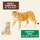 Terra By Battat – 4 Pcs 1-4' Cheetah Toys Family Set - Plastic Cheetah Figurines – Realistic Zoo Animals – Collectible Safari Animals Figures For Kids 3+