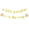 Gold Glitter A Little Pumpkin Is On The Way Banner- Pumpkin Baby Shower Party Decorations,Girl Fall Baby Shower Gender Reveal Birthday Party Decoration Supplies,Fall Pumpkin Mantel Home Decor