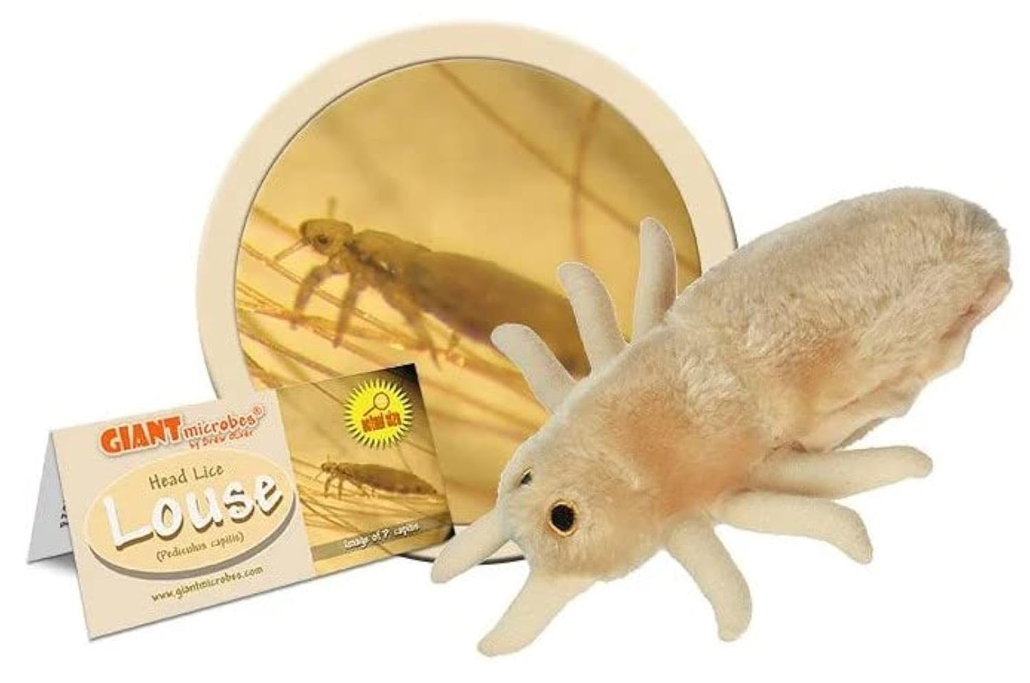 GIANT MICROBES Louse Plush Toy - 7" Tan Educational Gift for Lice Awareness, Ideal for Families and Insect Lovers