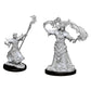 Wizkids Pathfinder Deep Cuts Unpainted Miniatures: Wave 11: Male Human Sorcerer
