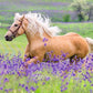 Ravensburger Horse Love Puzzle for Children, 2 x 24 Pieces, Cardboard, 26 x 18 cm, Yellow, Model 05148