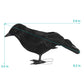 ATDAWN Halloween Birds  Black Feathered Crows  Realistic Looking Halloween Birds Decoration Birds  6.2 (12)
