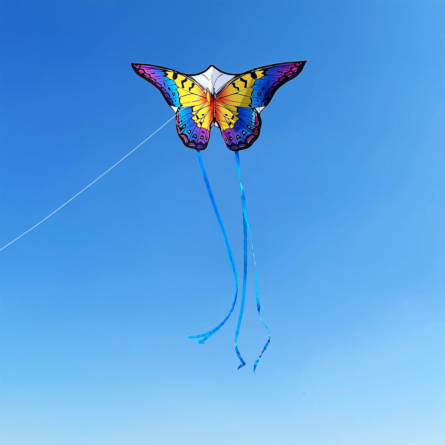 Honbo Butterfly Kites For Kids & Adults, Large Kite For Toddlers Age 2-4, Each Kite With 300Ft Line Handle,Beginner Kite For Kids Ages 4-8,Beach Kites For Outdoor Activities & Family Trip(Rainbow)