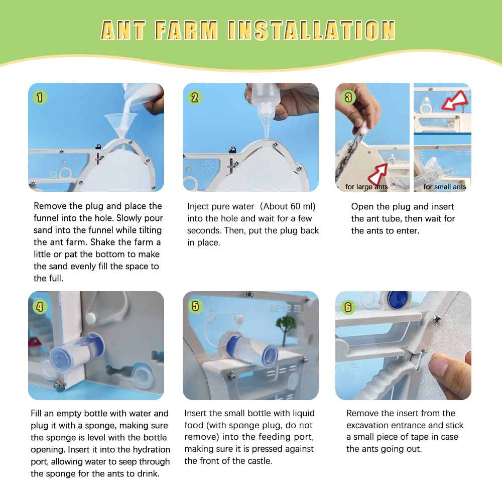 Ant Farm Castle, Ant Nest Farm For Live Ants, Ant Colony Observation Kit, Ant Habitat Science Learning Kit For Students Kids Chi