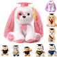 Oukiwi Graduation Gift 8 Inch Graduation Stuffed Animal Graduation Plush Stuffed Animal (Pink)