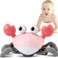 Scuttle & Groove Crawling Crab – Baby Fun Tummy Time & Crawling Buddy