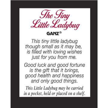 Tiny Little Ladybug Glass Charm With Story Card New Pocket Token