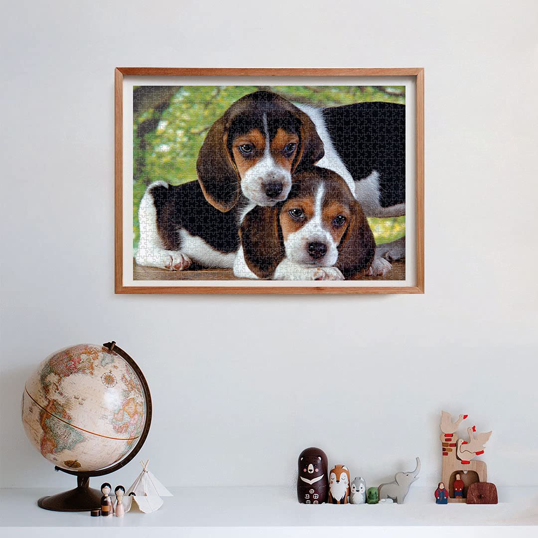 Clementoni Close Together Puzzle (500 Piece), Multicolor, 8'' (30289.5)