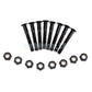 35mm/1.4 Steel Screws & Nuts Hardware for Skateboard Longboard  Set of 8
