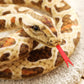 Xshelley 120" Extra Long Brown Snake Plush Toy, Soft Stuffed Animal, 100% Polyester, Model Xshelley -20221108A