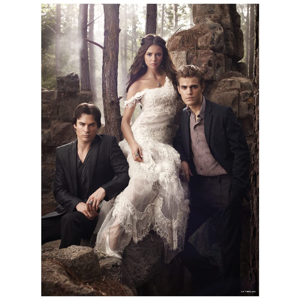 The Vampire Diaries Elena Damon Stefan 500 Piece Jigsaw Puzzle For Adults, 16' L X 21.5' W