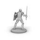 Helmed Male Paladin Tabletop Dnd Gaming Miniature