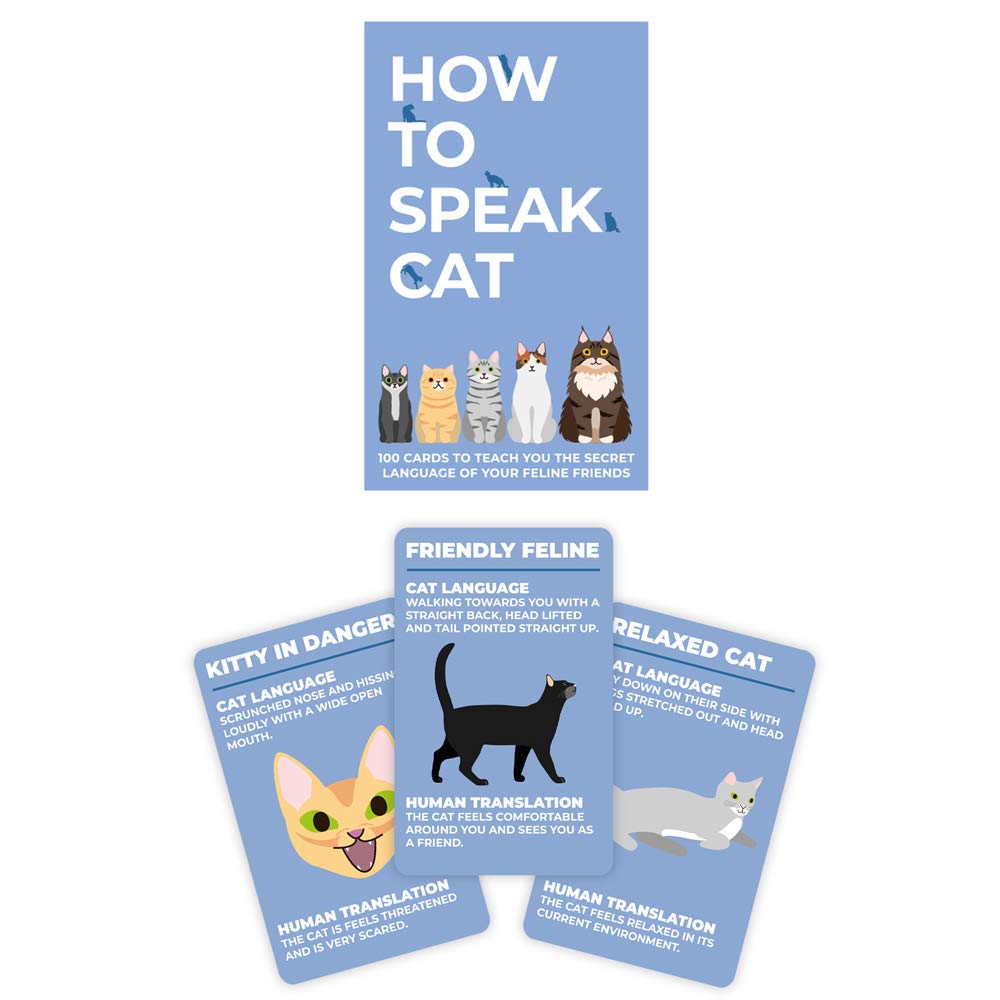 Gift Republic How To Speak Cat Cards - 100 Fun Cards for Cat Lovers, Learn Kitty Language, Multicolor, Model GR490104